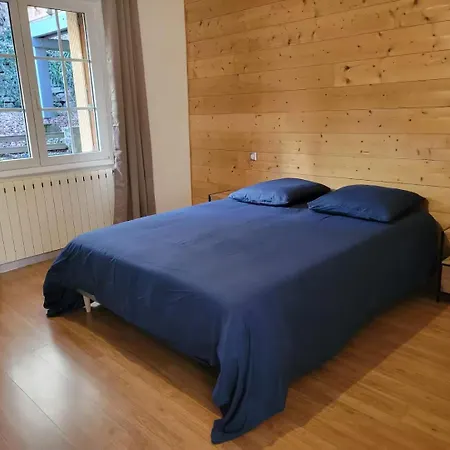 Rez-de-jardin En Lisiere De Foret * Saint-Die-des-Vosges