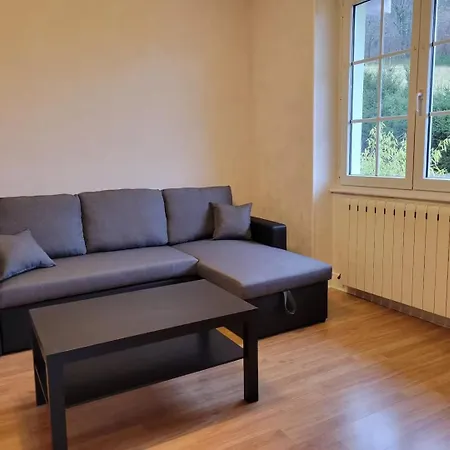 Rez-de-jardin En Lisiere De Foret Saint-Die-des-Vosges