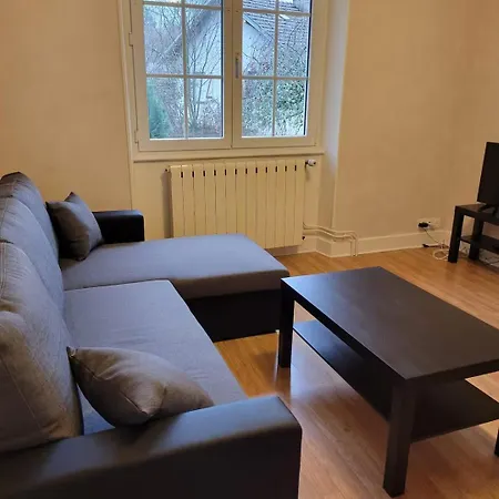 Rez-de-jardin En Lisiere De Foret Saint-Die-des-Vosges