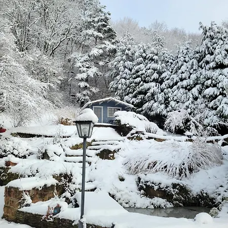 Appartement Rez-de-jardin En Lisière De Forêt