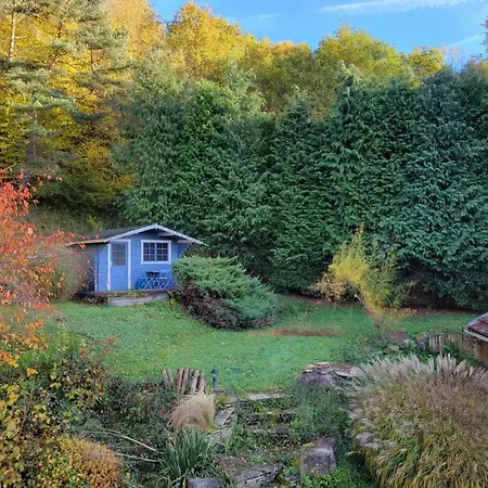 Rez-de-jardin En Lisière De Forêt Appartement Saint-Die-des-Vosges
