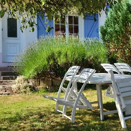 Appartement Rez-de-jardin En Lisière De Forêt Saint-Die-des-Vosges