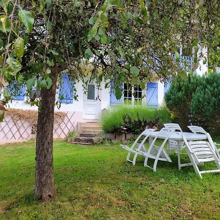 Rez-de-jardin En Lisière De Forêt Appartement Saint-Die-des-Vosges