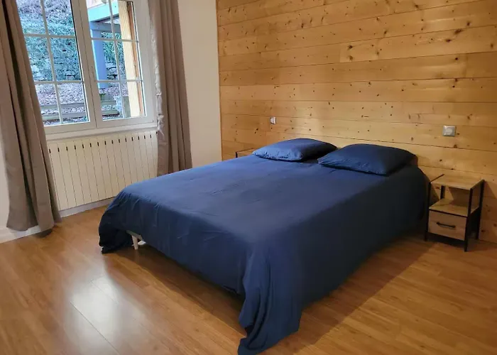 Rez-de-jardin En Lisiere De Foret * Saint-Die-des-Vosges