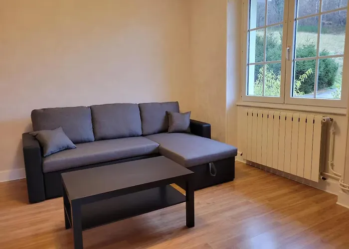 Rez-de-jardin En Lisiere De Foret Saint-Die-des-Vosges