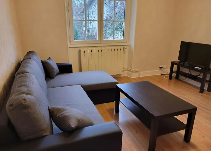 Rez-de-jardin En Lisiere De Foret Saint-Die-des-Vosges