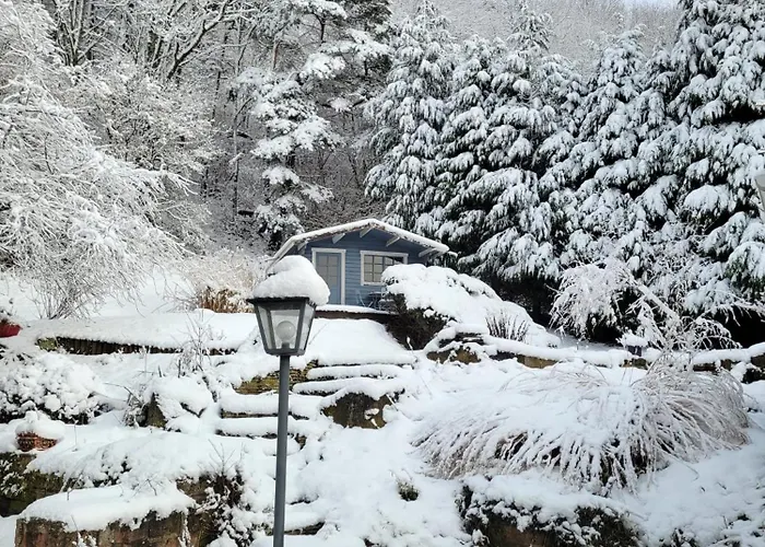 Apartmán Rez-de-jardin En Lisiere De Foret